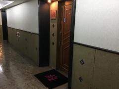 酒膳桜