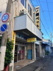 一ノ瀬ペット