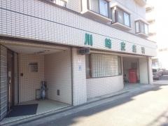 川崎皮膚科