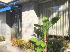 きた