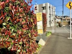 「天王原」バス停留所