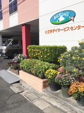かがやき