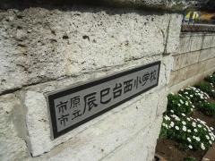 辰巳台西小学校