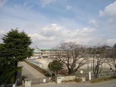 辰巳台西小学校