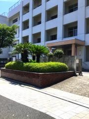 庚午小学校