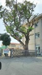 上峰小学校