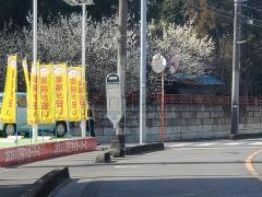 「丸ケ崎」バス停留所
