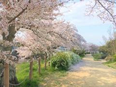 有馬川緑道