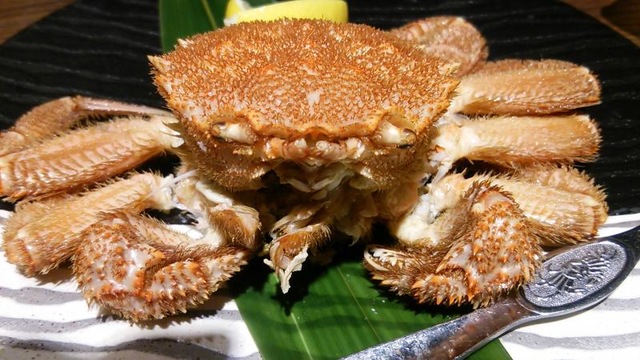 いろはにほへと 古川駅前店／ホームメイト