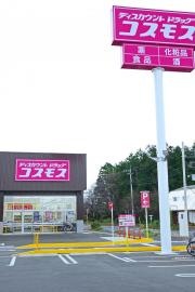 ドラッグストアコスモス新田木崎店