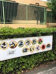 向陽台保育園