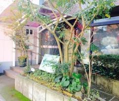 諏訪の杜クリニック