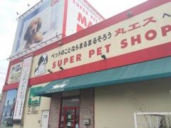 アサヒペットクリニックいかるが院