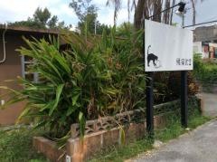 桃猫食堂
