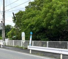 「埼大裏」バス停留所