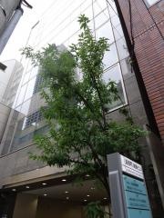 加藤歯科クリニック