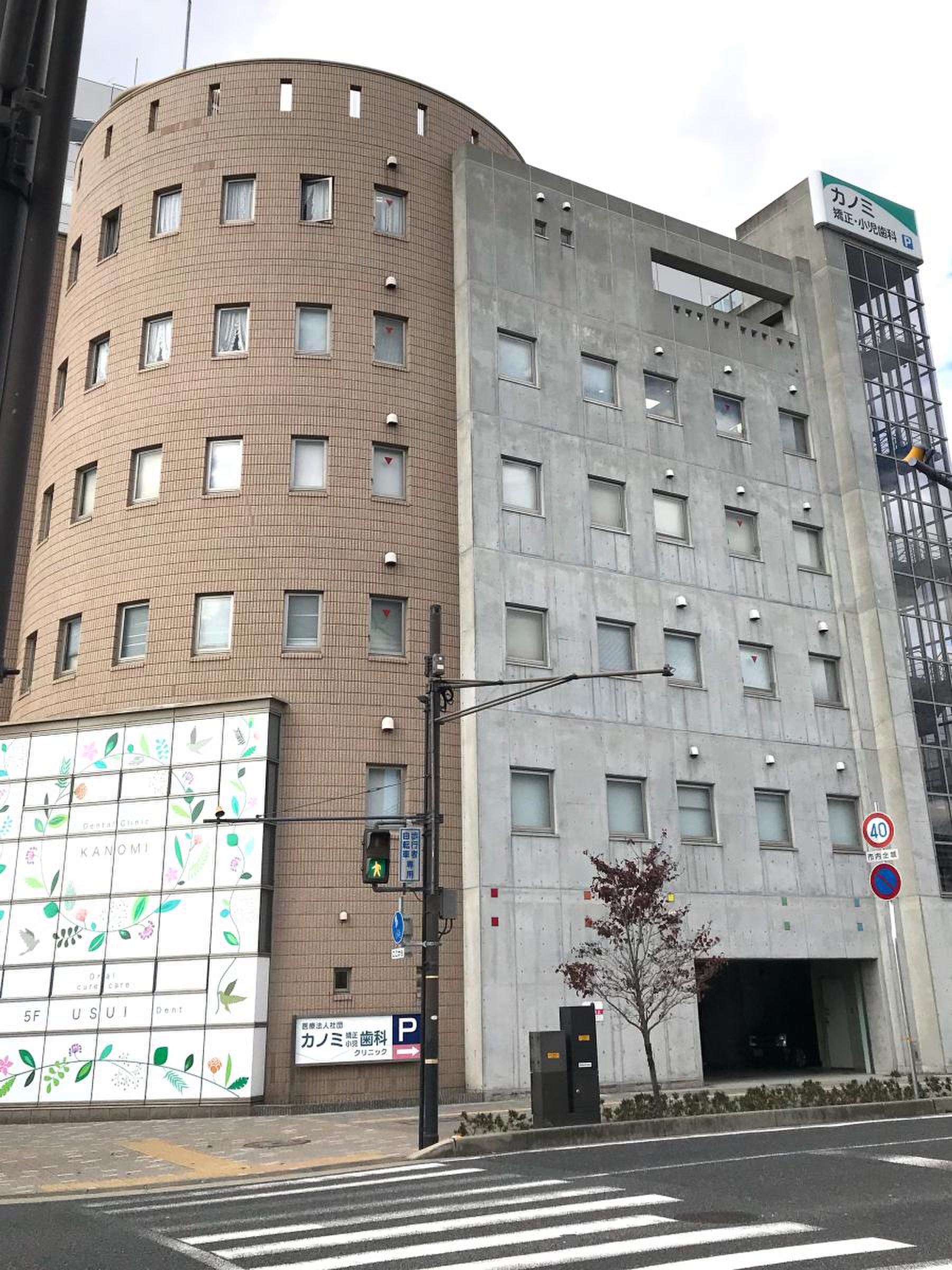 活動歴および当時の関連ビジュアル記録