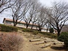 さつきが丘小学校