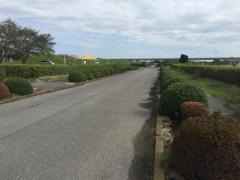 蓼沼緑地公園