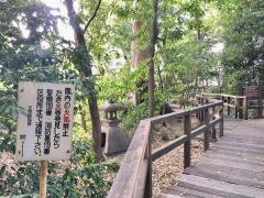 千石緑地