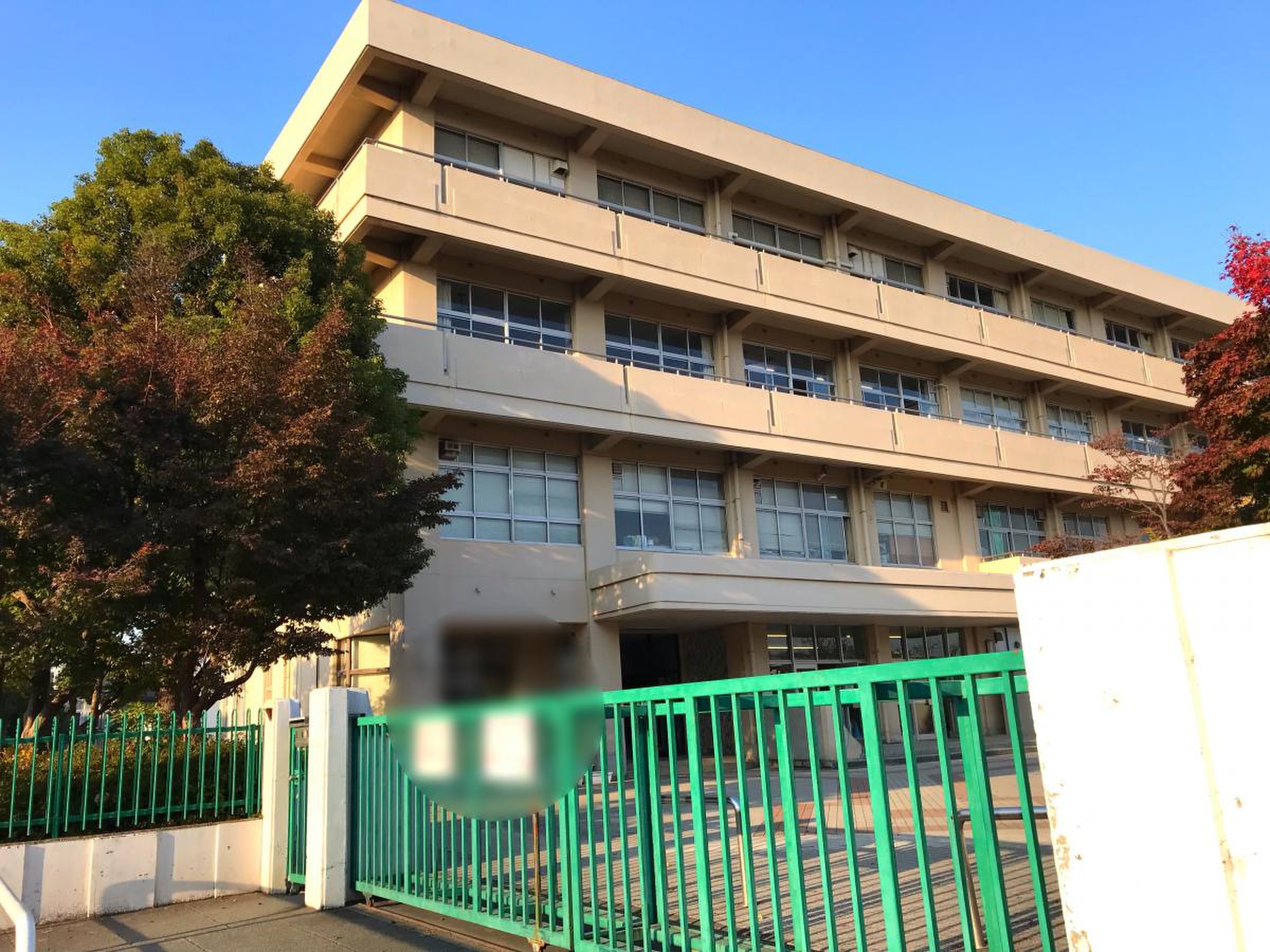 当時のメディア報道・掲載写真