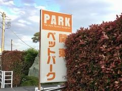 関東ペットオークション