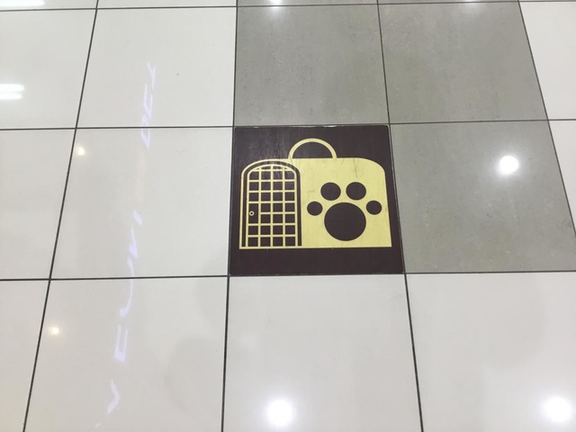 施設写真21