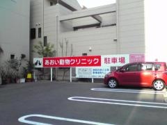 葵獣医科病院