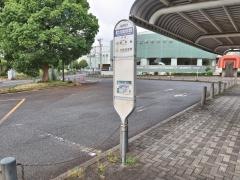 「郷土の森総合体育館」バス停留所
