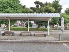 「郷土の森総合体育館」バス停留所