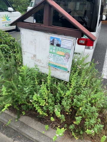 そよ風