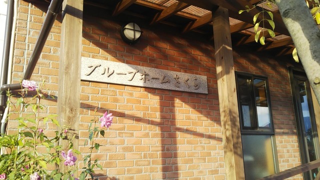 さくら