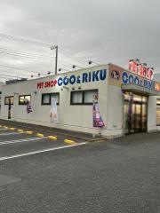 ペットショップＣｏｏ&ＲＩＫＵ　藤沢店