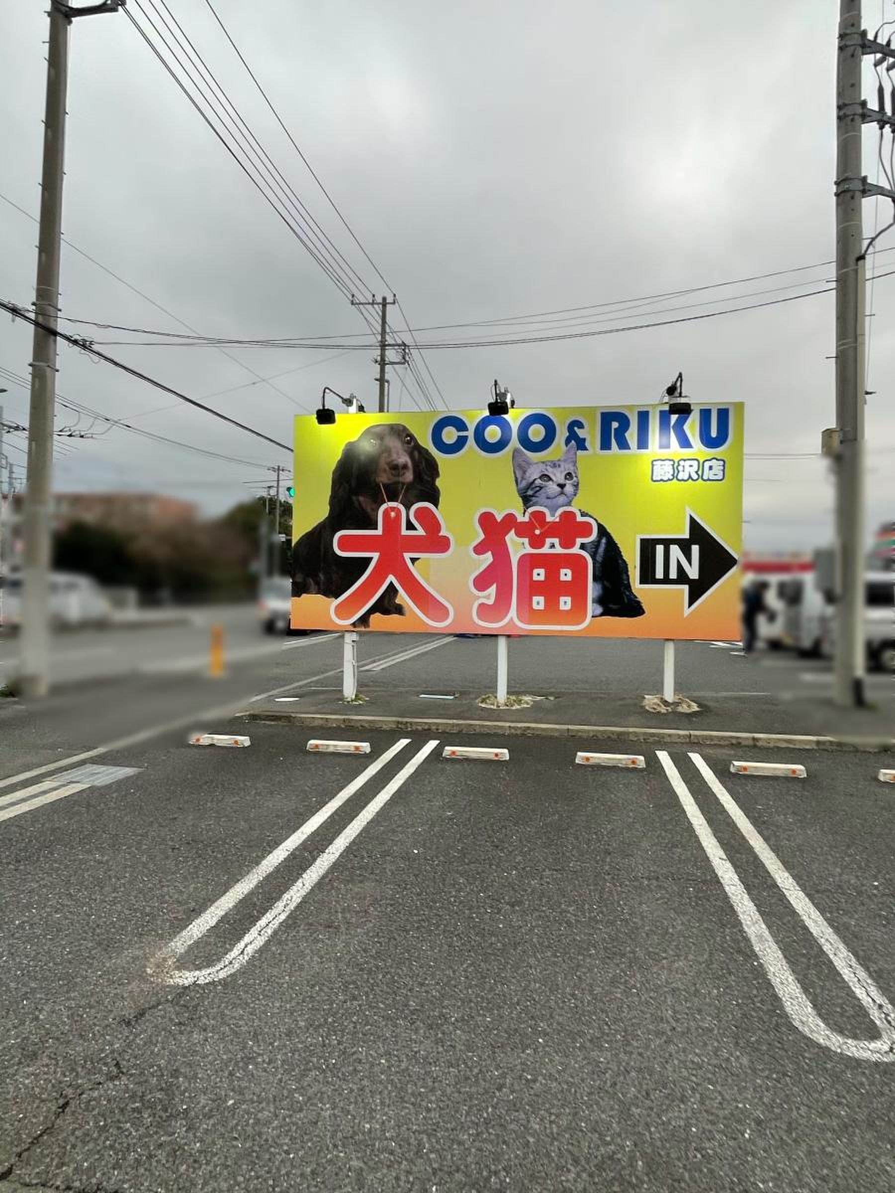 ペット ショップ coo&riku 藤沢 店