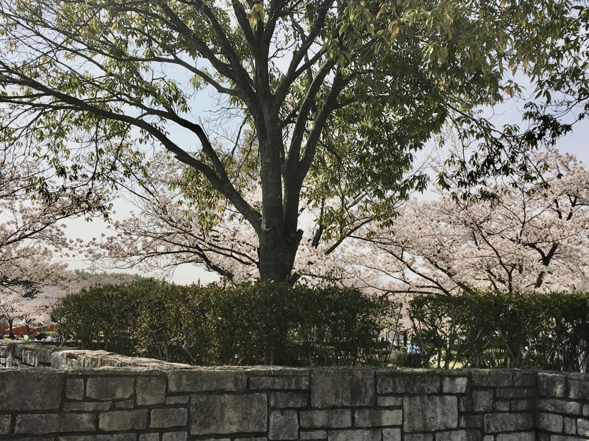 きんめい近隣公園
