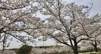 きんめい近隣公園
