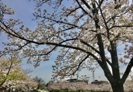 きんめい近隣公園