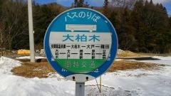 「大柏木」バス停留所