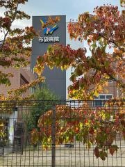 布袋病院