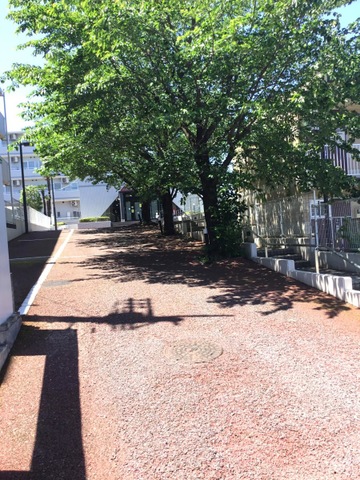 家族倶楽部
