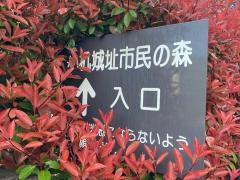 小机城址市民の森