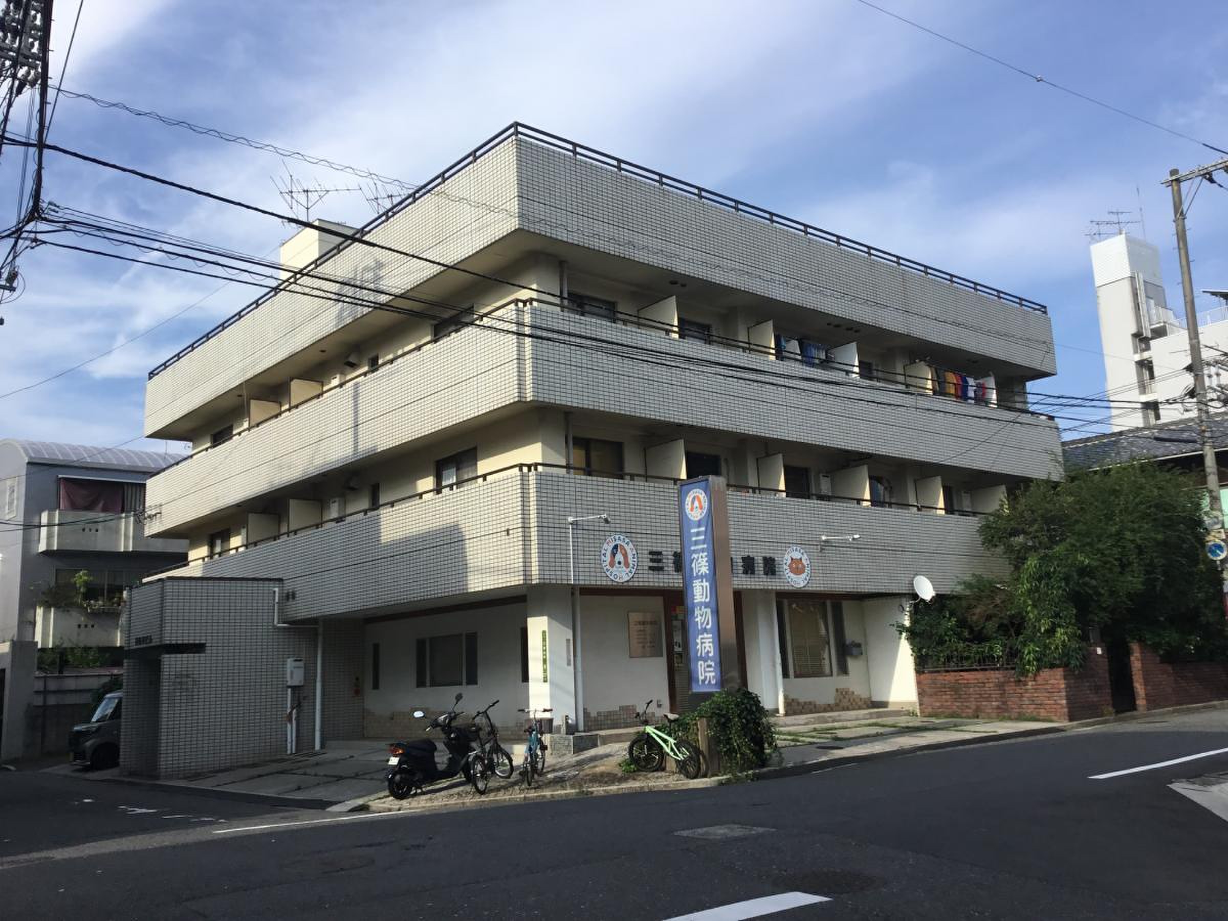 活動歴および当時の関連ビジュアル記録