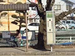 「東町(熊本市)」バス停留所