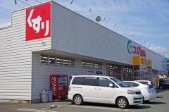 スギ薬局　飯村店