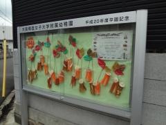 大阪樟蔭女子大学附属幼稚園
