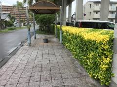 柳丸緑地