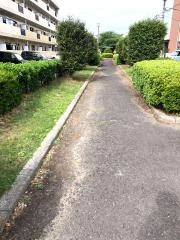 柳丸緑地