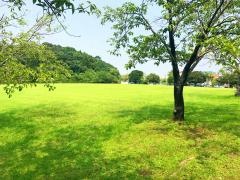 生目台公園