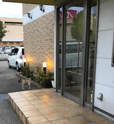 ドッグメディカル ショコラ動物病院 野々市市御経塚