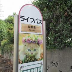 「田畑園」バス停留所